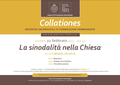 sinodalidad