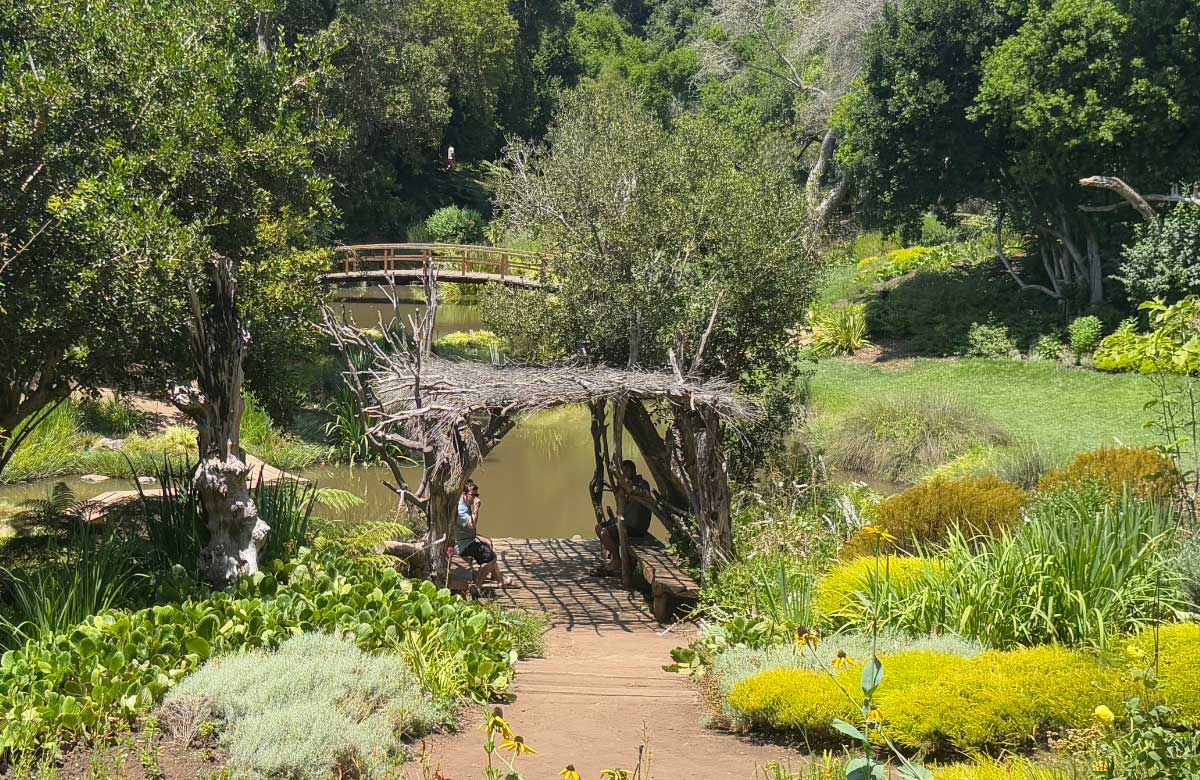 Gestión y resolución de conflictos