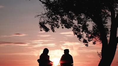 Programas para la formación