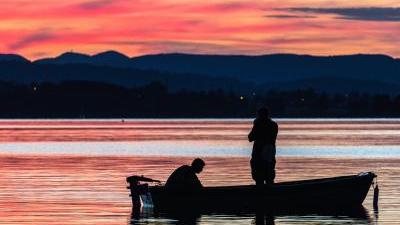 Expertos en humanidad